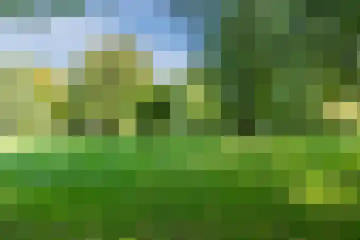Waardeel 40 Meppel thumbnail 31