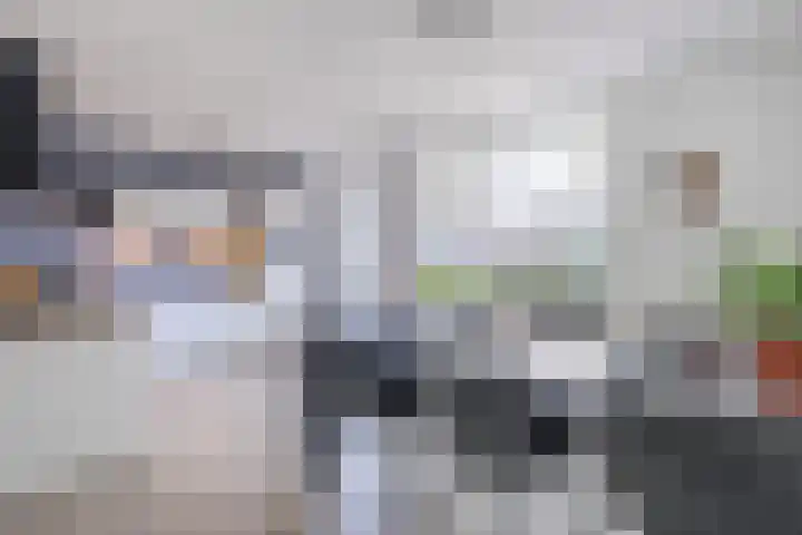 Waardeel 40 Meppel thumbnail 8