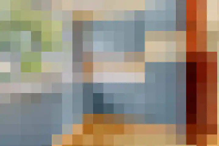 Waardeel 46 Borger thumbnail 15