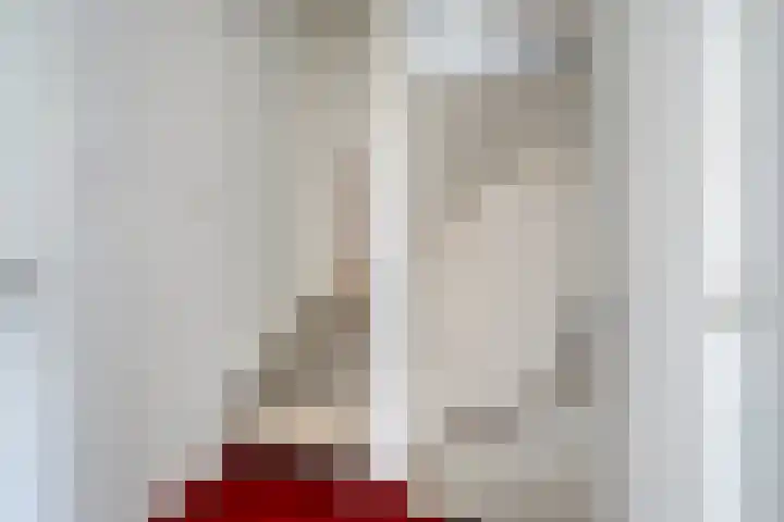 Waardeel 46 Borger thumbnail 16