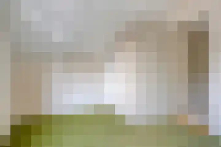 Waardeel 46 Borger thumbnail 26