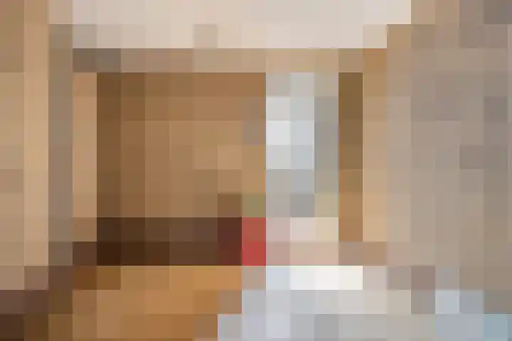 Waardeel 46 Borger thumbnail 30