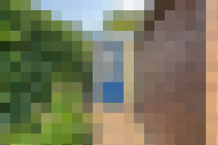 Waardeel 46 Borger thumbnail 31