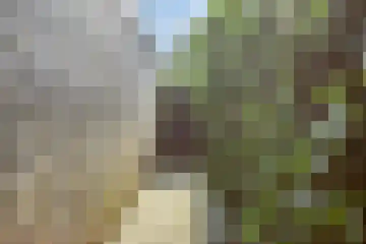 Waardeel 46 Borger thumbnail 32
