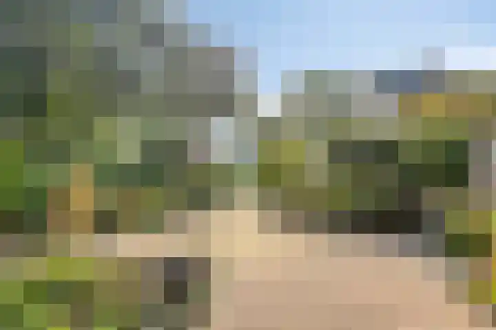 Waardeel 46 Borger thumbnail 35