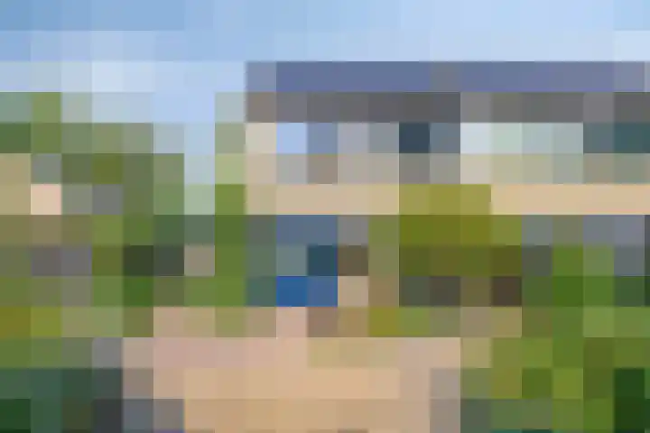 Waardeel 46 Borger thumbnail 36