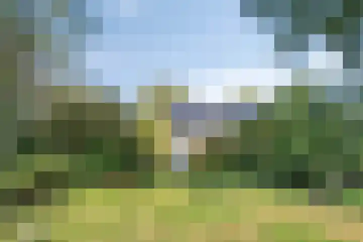 Waardeel 46 Borger thumbnail 37