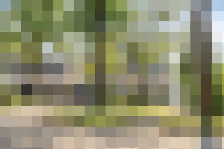 Waardeel 46 Borger thumbnail 38