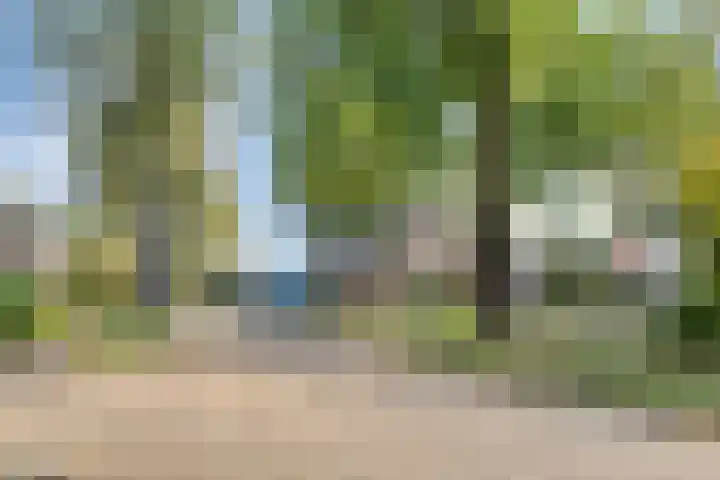 Waardeel 46 Borger thumbnail 39