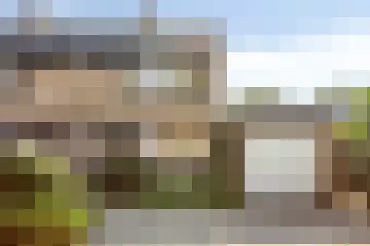 Waardeel 46 Borger thumbnail 4