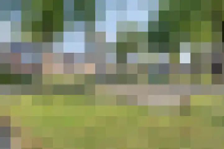 Waardeel 46 Borger thumbnail 40