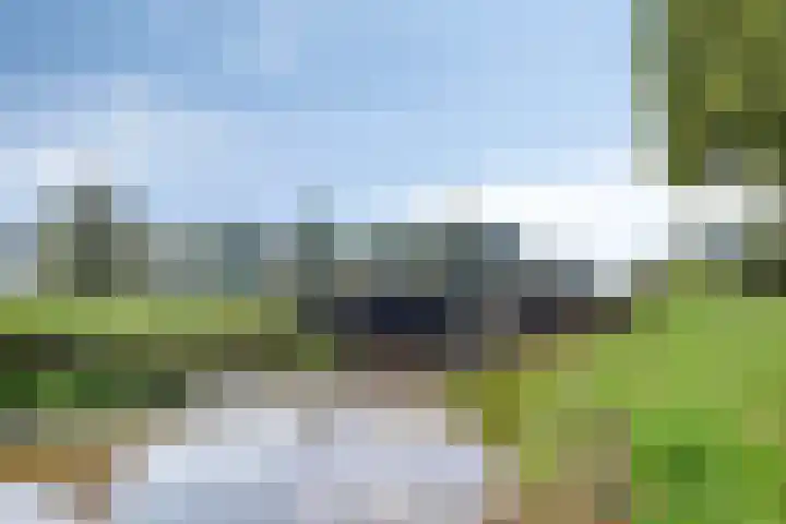 Waardeel 46 Borger thumbnail 41
