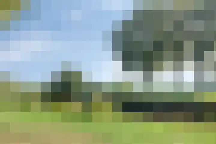 Waardeel 46 Borger thumbnail 43