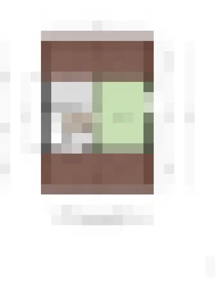 Waardeel 46 Borger thumbnail 46