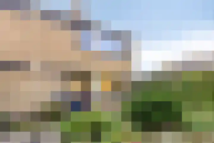 Waardeel 46 Borger thumbnail 5