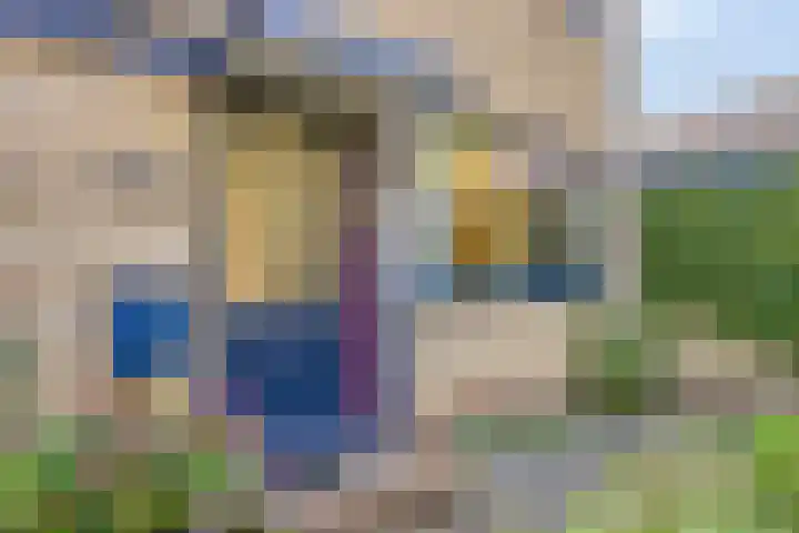 Waardeel 46 Borger thumbnail 6