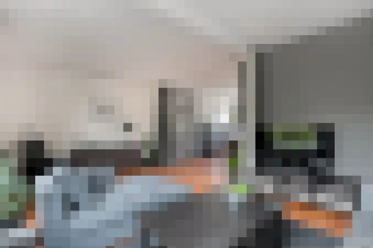 Waardeel 59 Steenwijk thumbnail 16