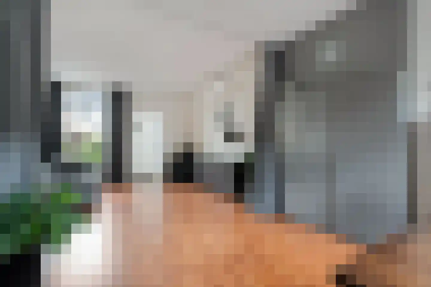 Waardeel 59 Steenwijk thumbnail 18