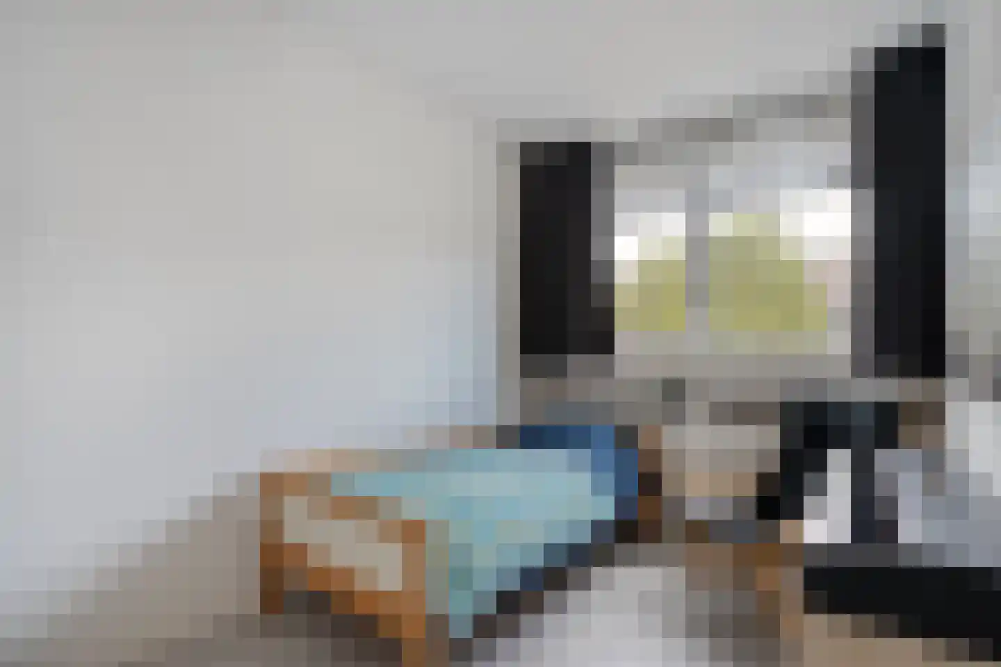 Waardeel 59 Steenwijk thumbnail 30