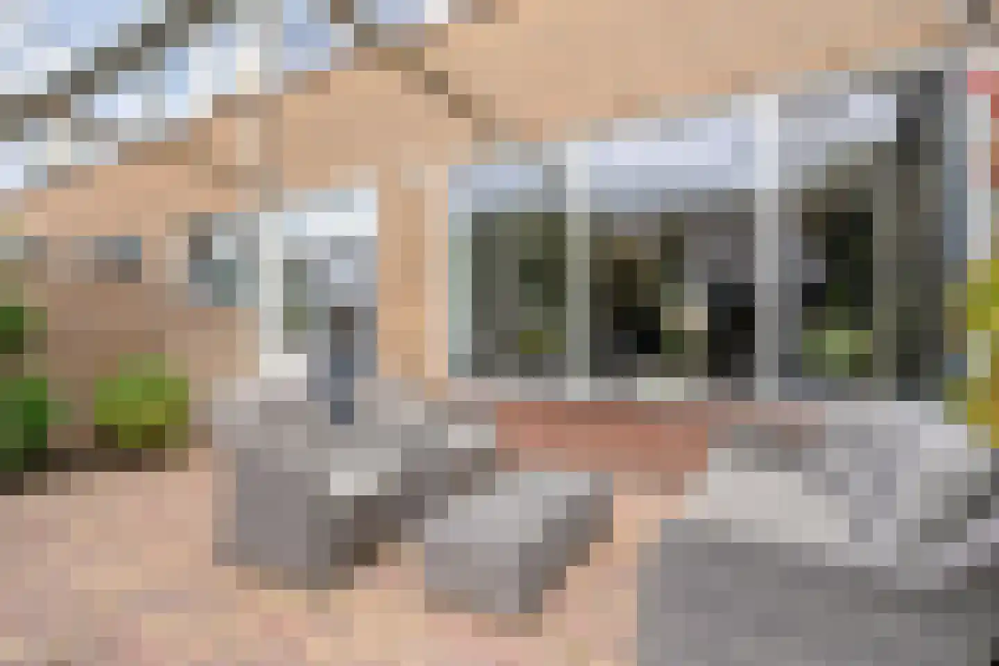 Waardeel 59 Steenwijk thumbnail 39