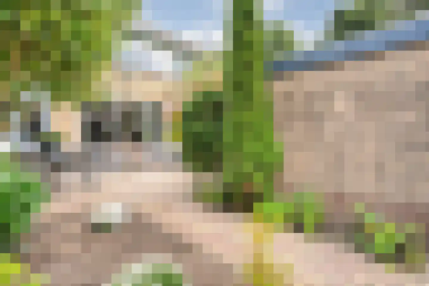 Waardeel 59 Steenwijk thumbnail 4
