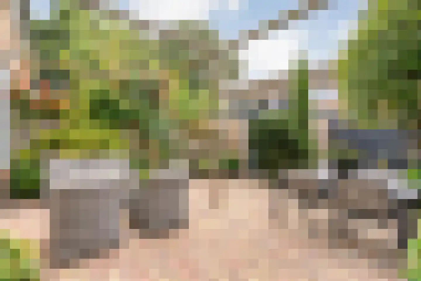 Waardeel 59 Steenwijk thumbnail 40