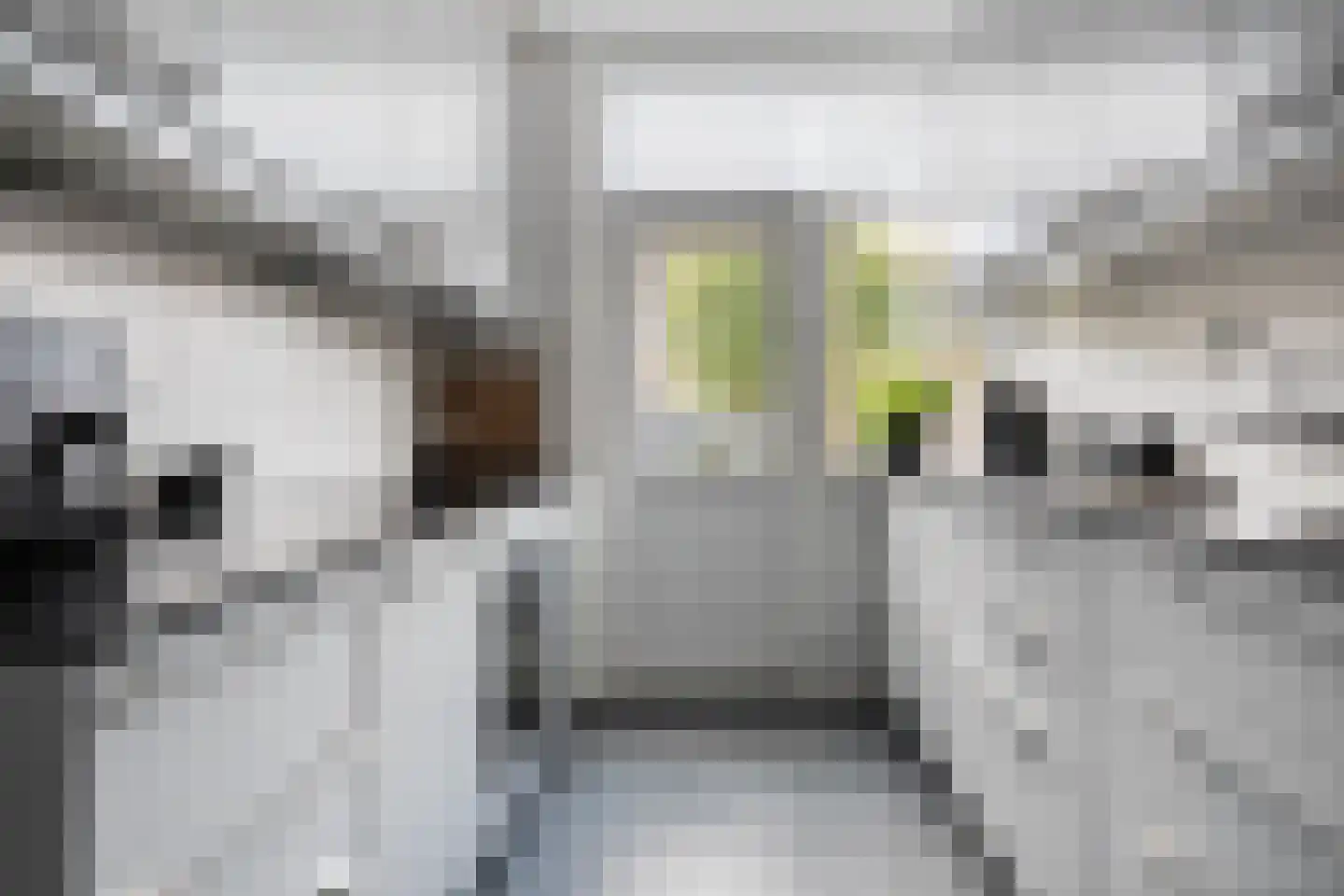 Waardeel 59 Steenwijk thumbnail 6