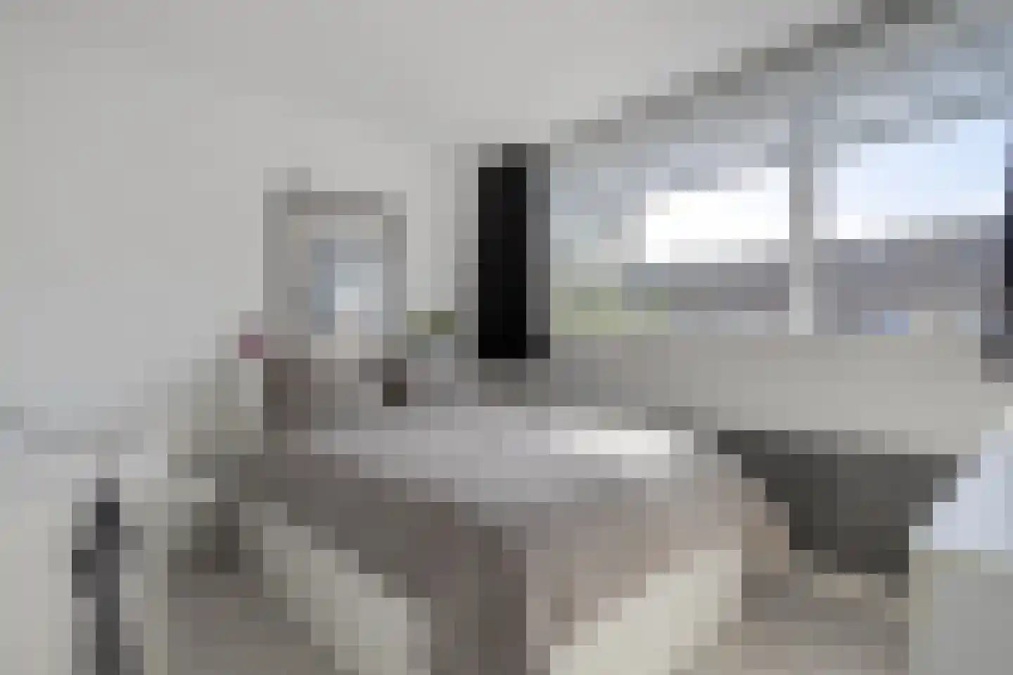 Waardeel 59 Steenwijk thumbnail 7