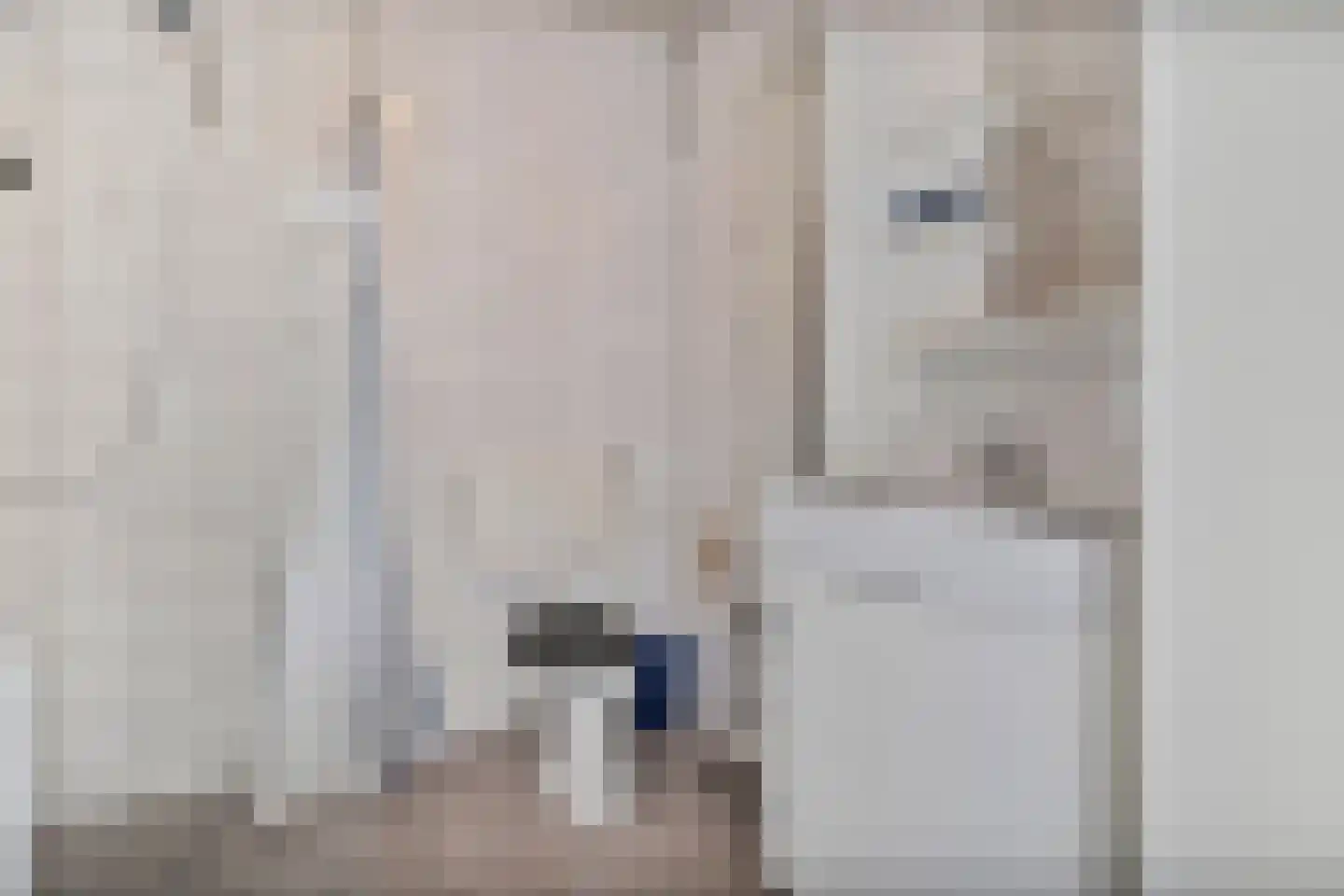 Waardeel 59 Steenwijk thumbnail 8