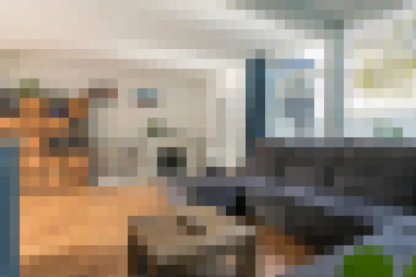 Waardeel 69 Steenwijk thumbnail 10