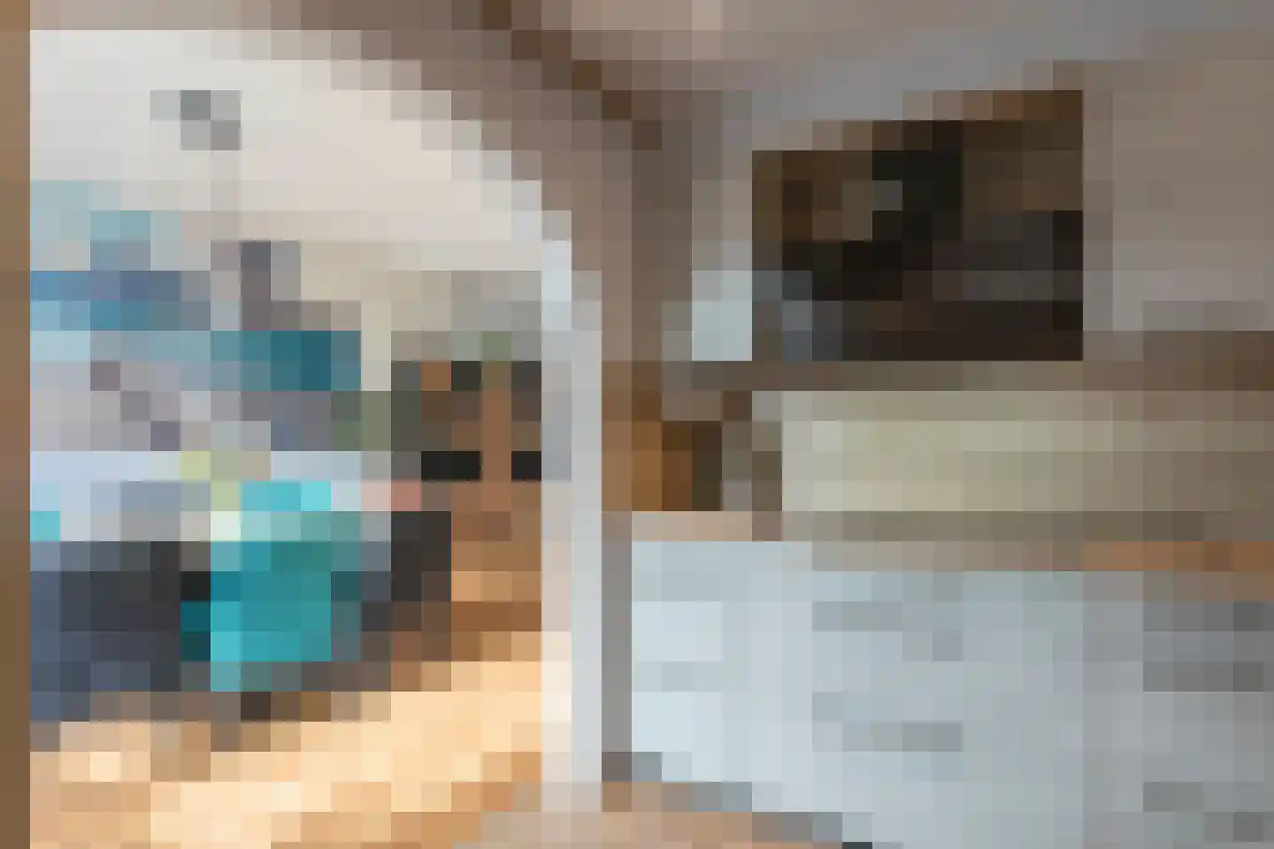 Waardeel 69 Steenwijk thumbnail 18