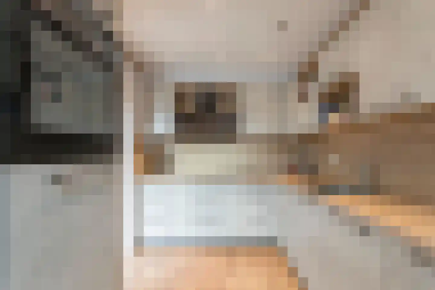 Waardeel 69 Steenwijk thumbnail 19