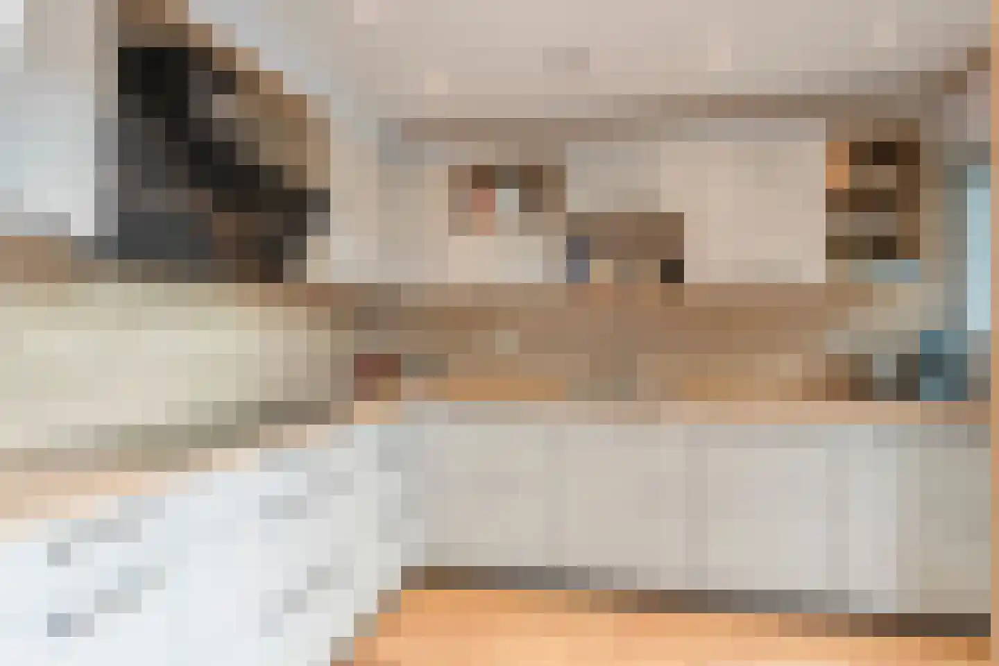 Waardeel 69 Steenwijk thumbnail 20