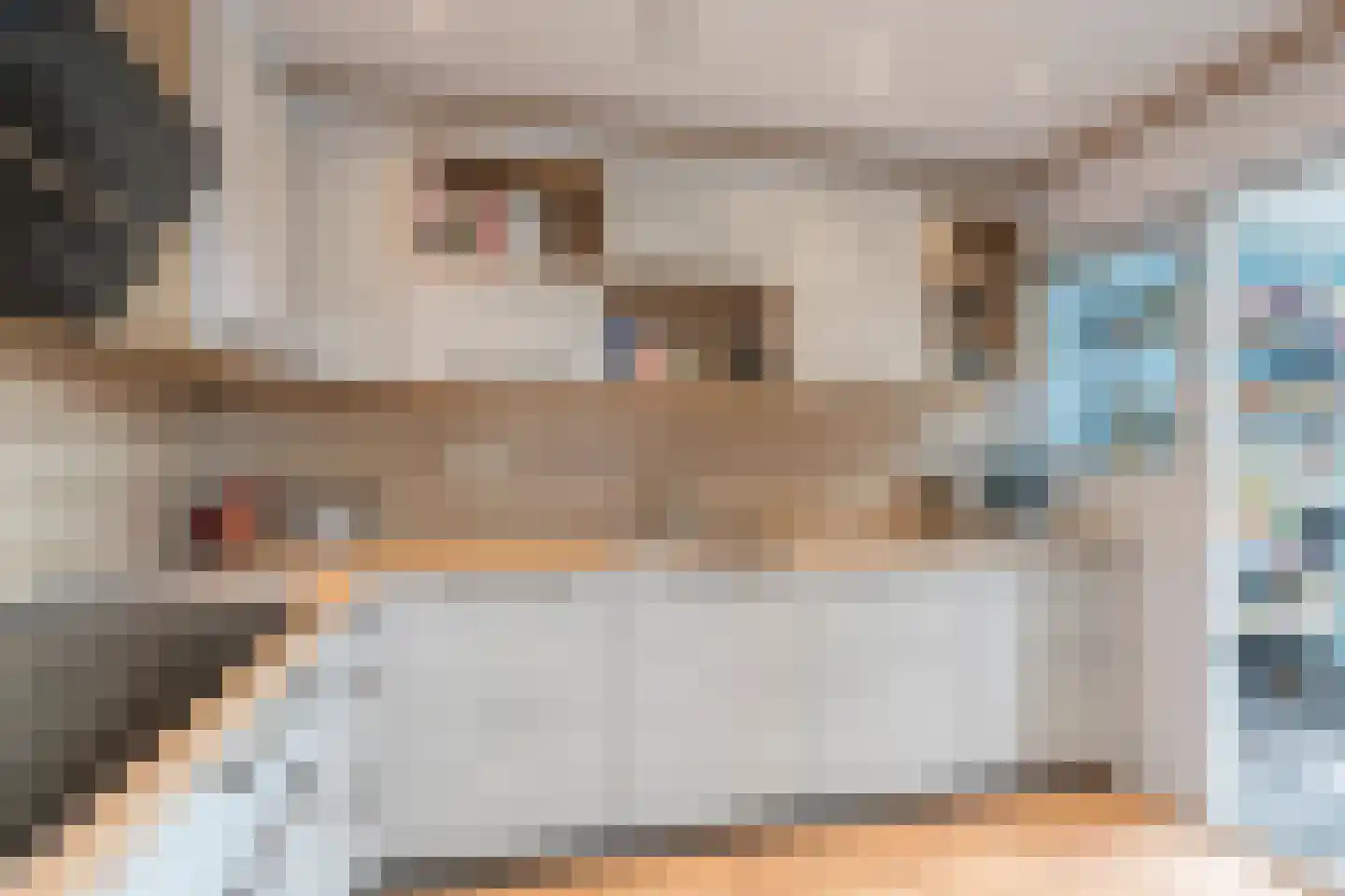 Waardeel 69 Steenwijk thumbnail 21