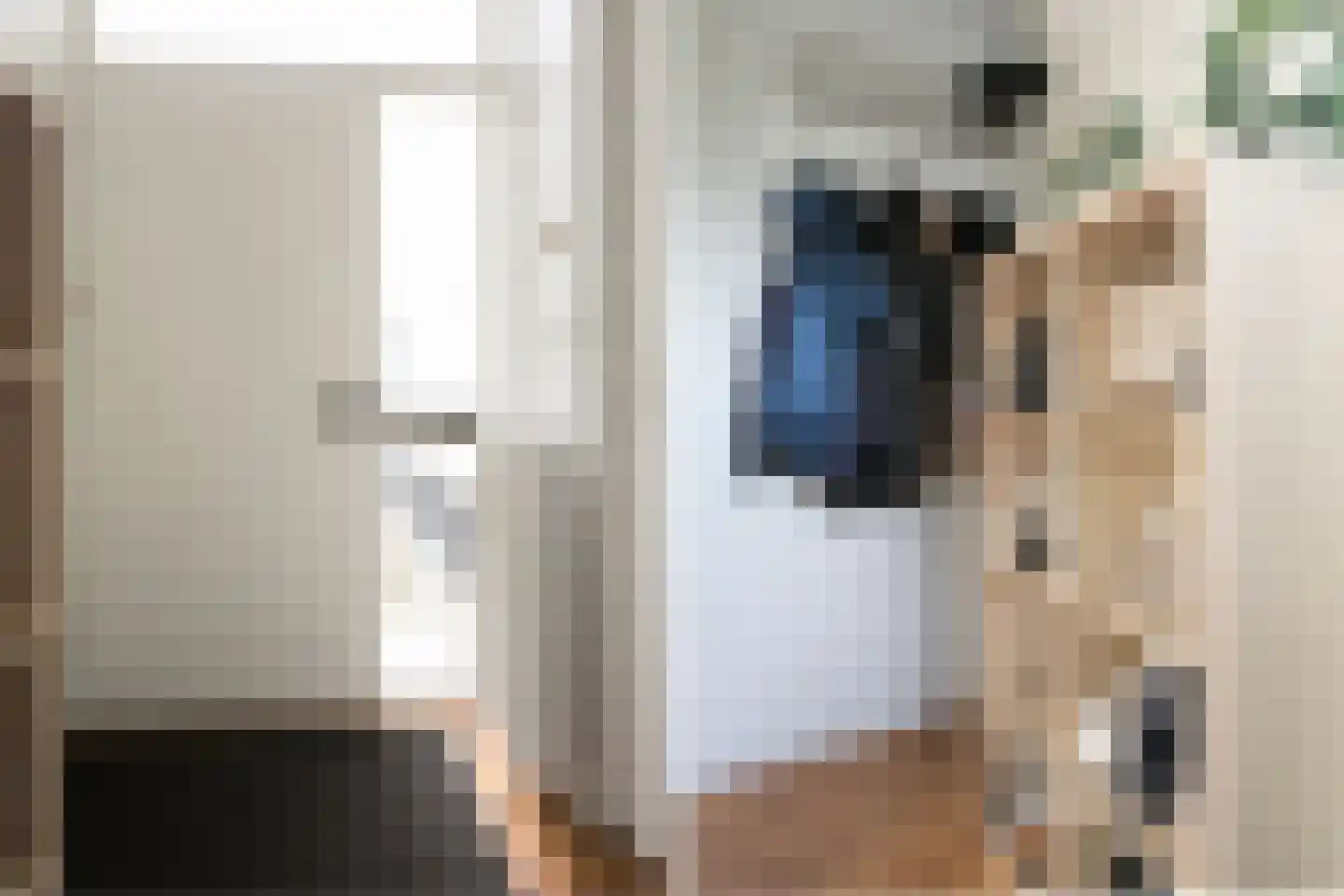 Waardeel 69 Steenwijk thumbnail 23