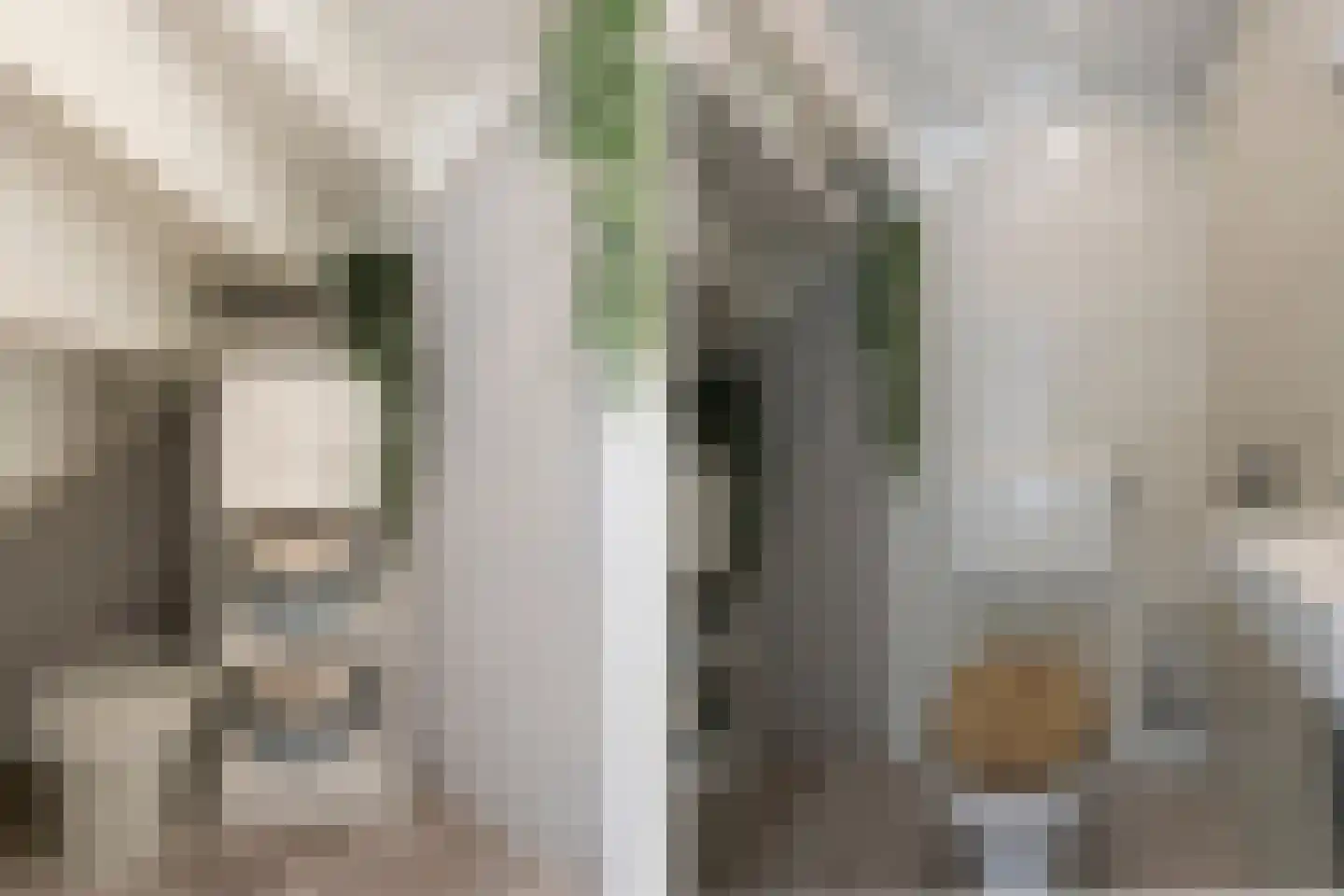 Waardeel 69 Steenwijk thumbnail 24