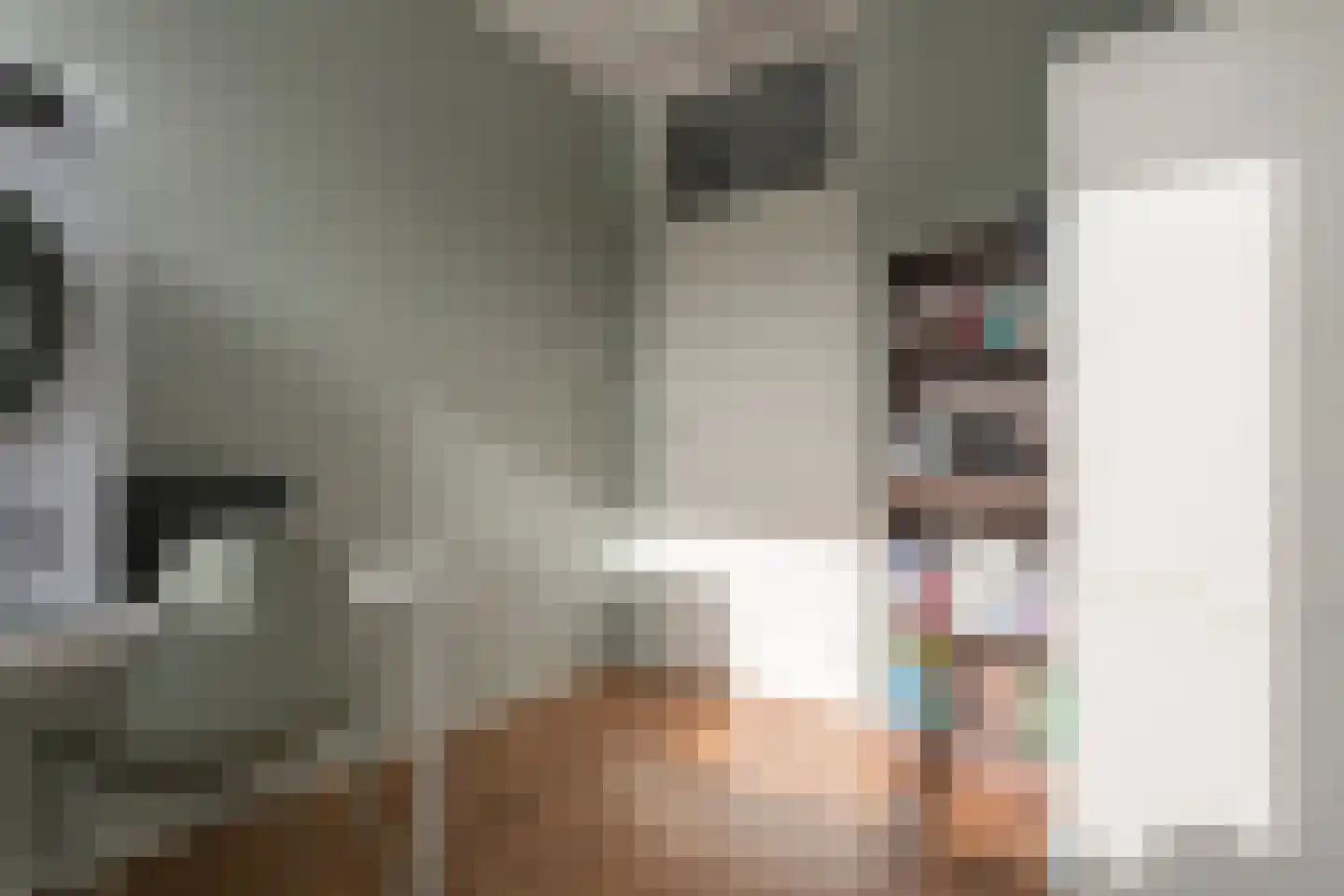 Waardeel 69 Steenwijk thumbnail 34