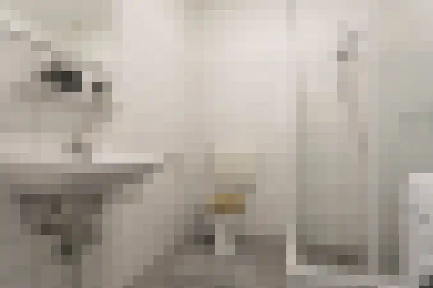 Waardeel 69 Steenwijk thumbnail 35