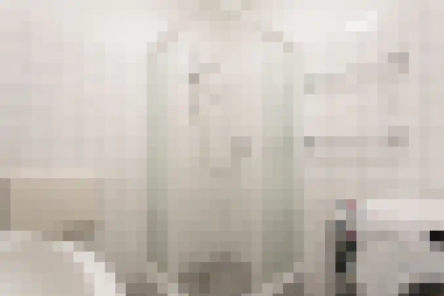 Waardeel 69 Steenwijk thumbnail 36