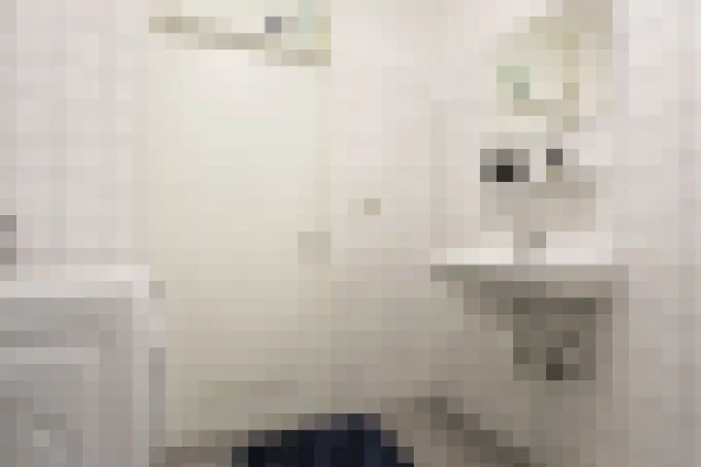 Waardeel 69 Steenwijk thumbnail 37