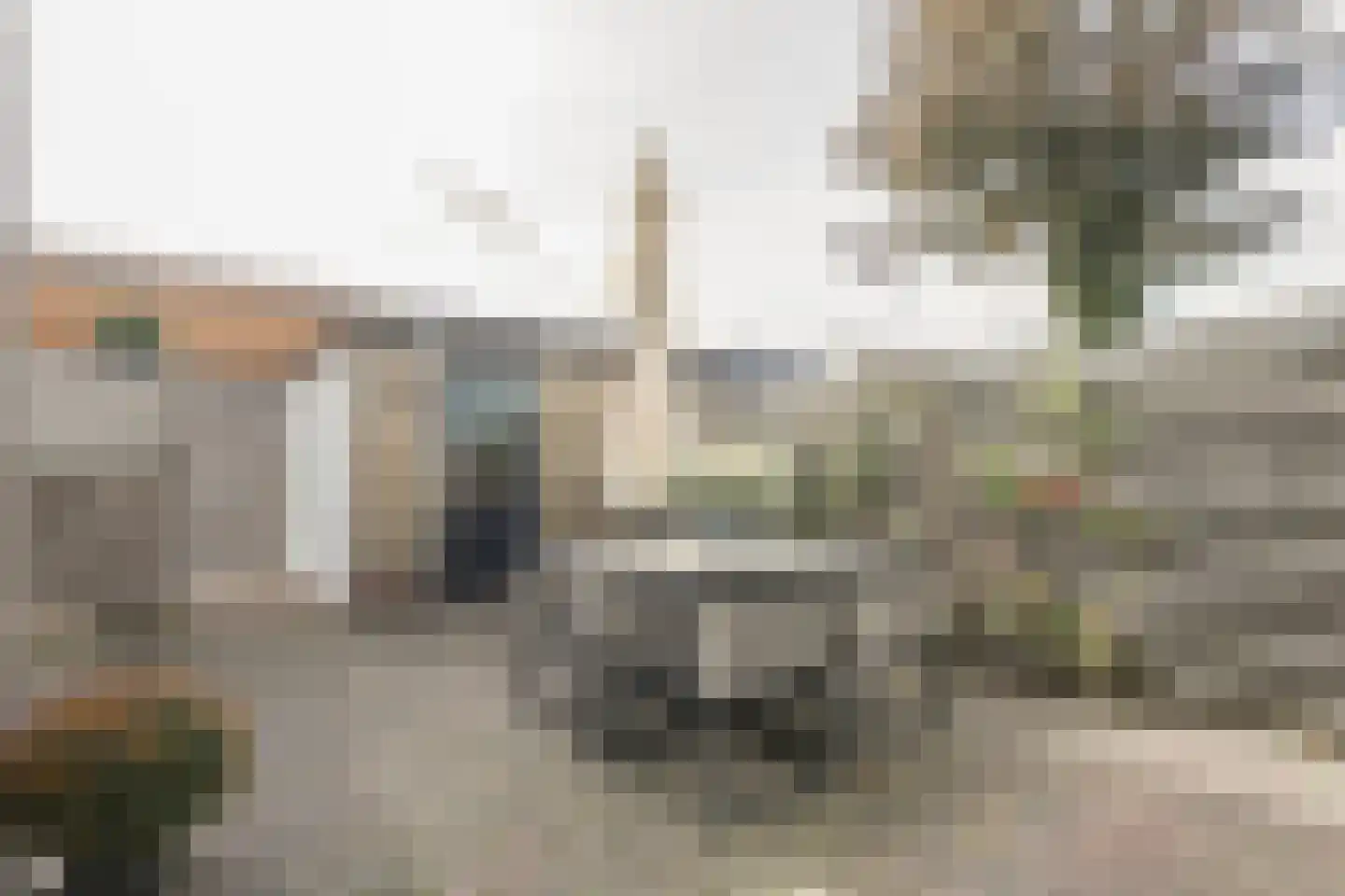 Waardeel 69 Steenwijk thumbnail 49