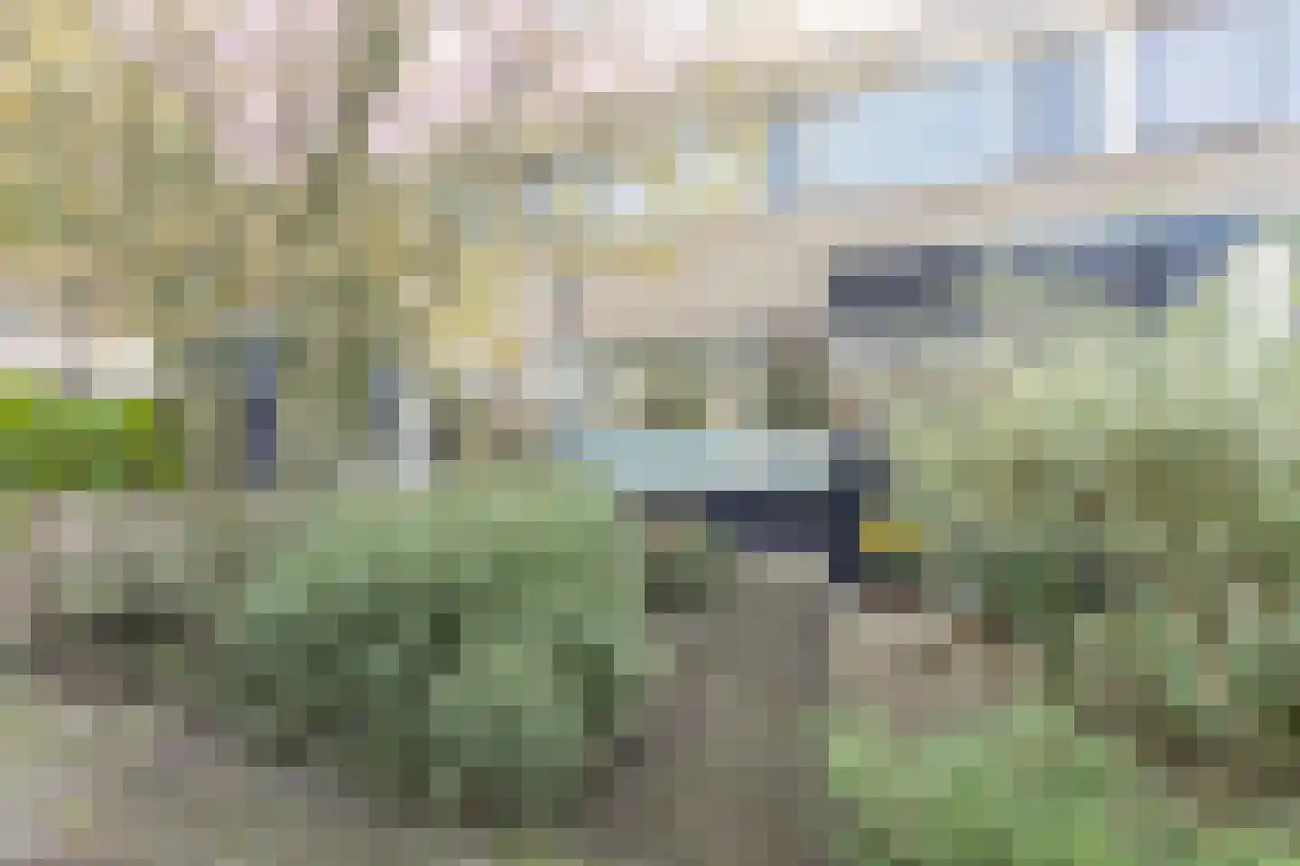 Waardeel 69 Steenwijk thumbnail 50