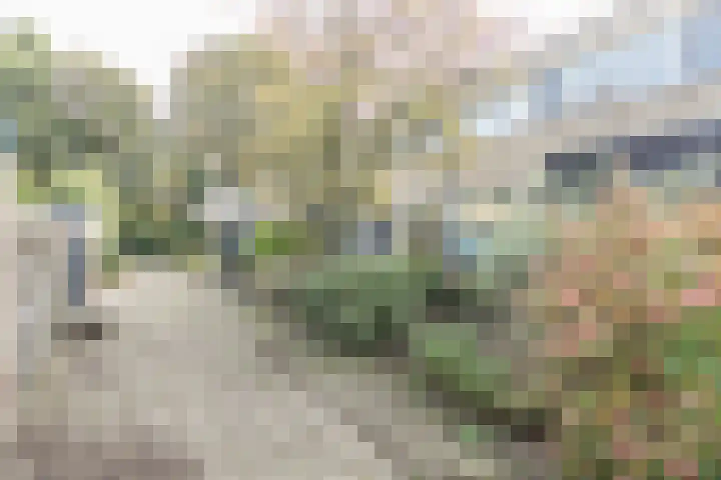 Waardeel 69 Steenwijk thumbnail 51