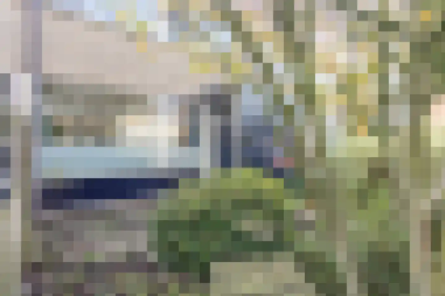 Waardeel 69 Steenwijk thumbnail 6