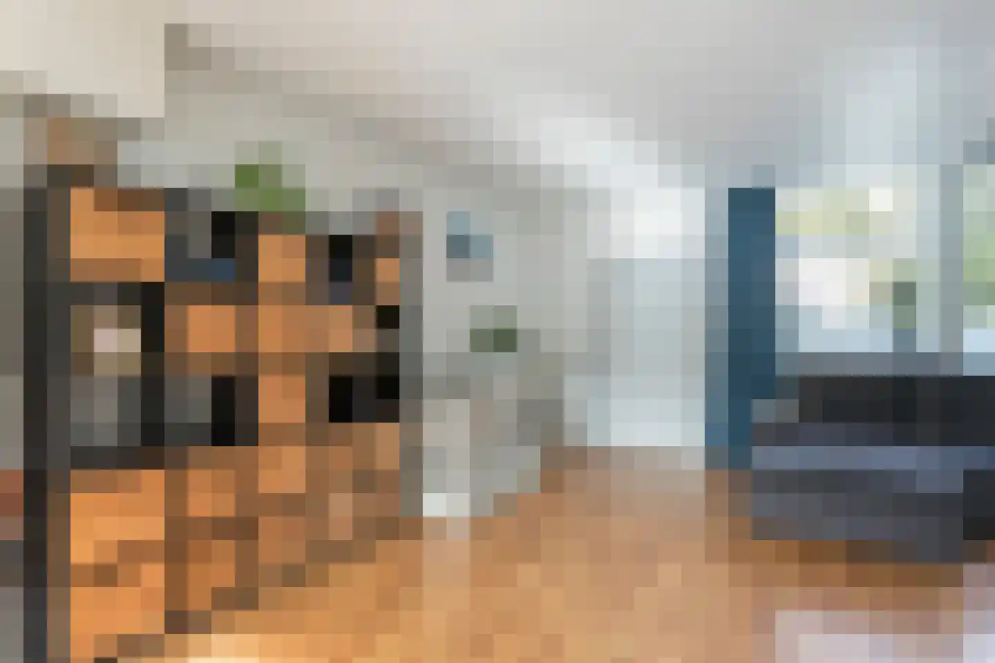 Waardeel 69 Steenwijk thumbnail 9