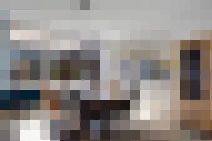 Waardeel 71 Steenwijk thumbnail 13