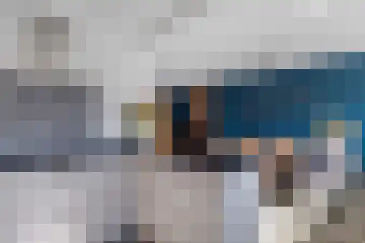Waardeel 71 Steenwijk thumbnail 17