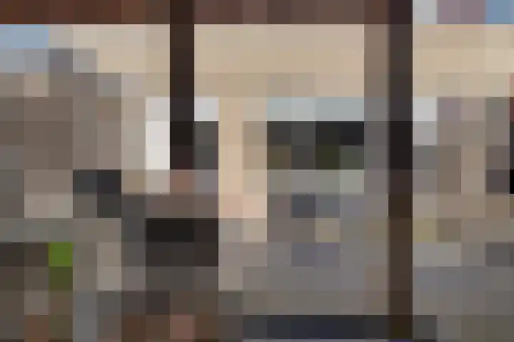 Waardeel 71 Steenwijk thumbnail 35
