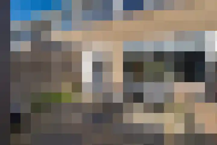 Waardeel 71 Steenwijk thumbnail 37