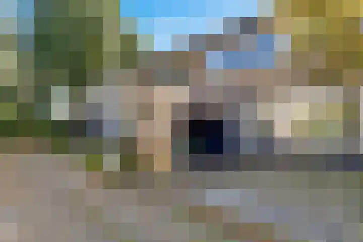 Waardeel 71 Steenwijk thumbnail 38